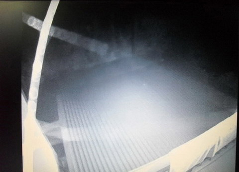 Ma xuat hien trong nhung buc anh Viet Nam